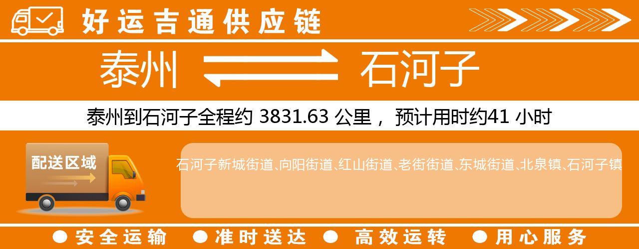 泰州到石河子物流专线-泰州至石河子物流公司